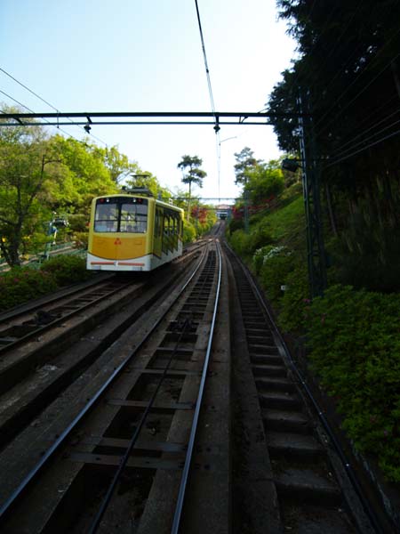 P5055518.jpg