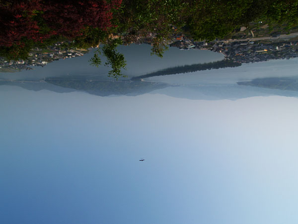 P5055526.jpg
