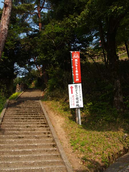 P5055536.jpg