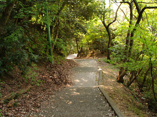 P5055546.jpg