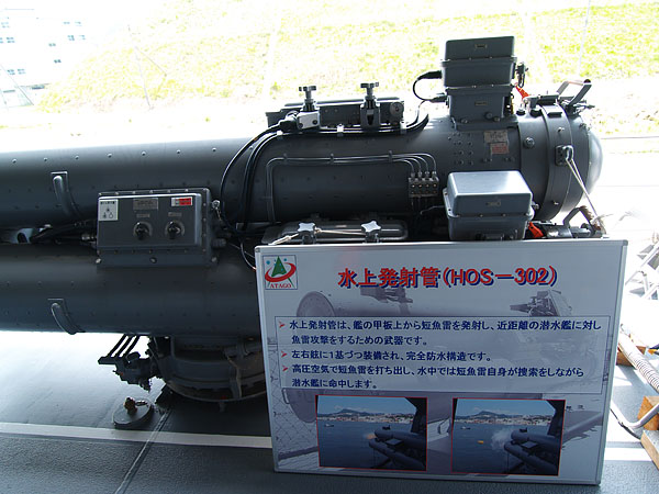 P5055579.jpg