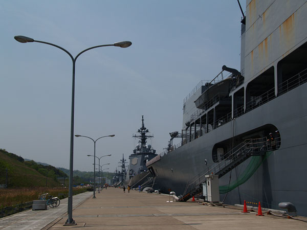 P5055614.jpg