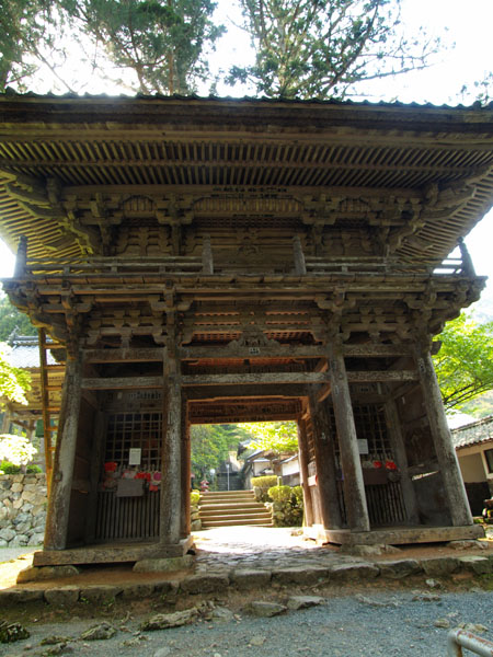 P5055629_.jpg