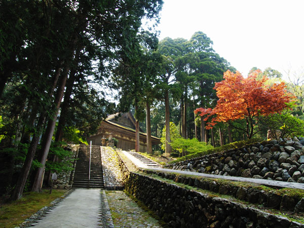 P5055630_.jpg