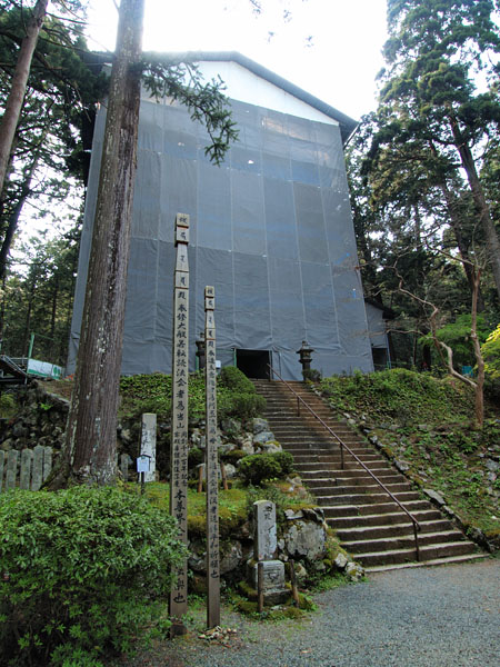 P5055639_.jpg