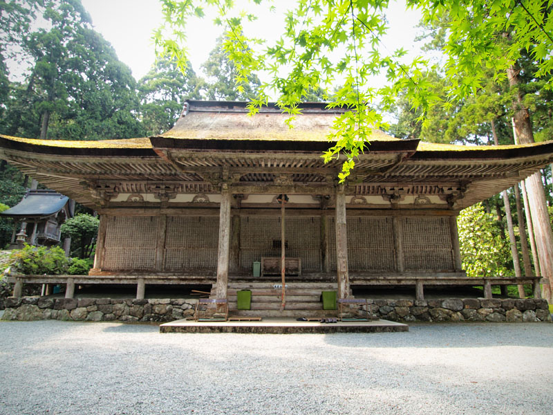 P5055649_.jpg