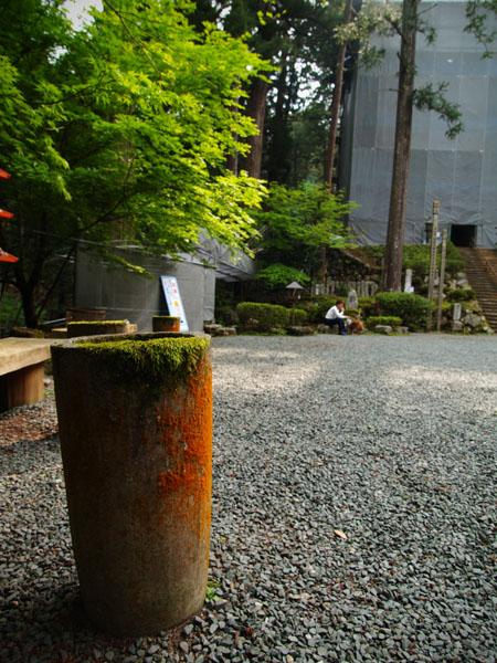 P5055658_.jpg