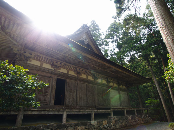 P5055661_.jpg