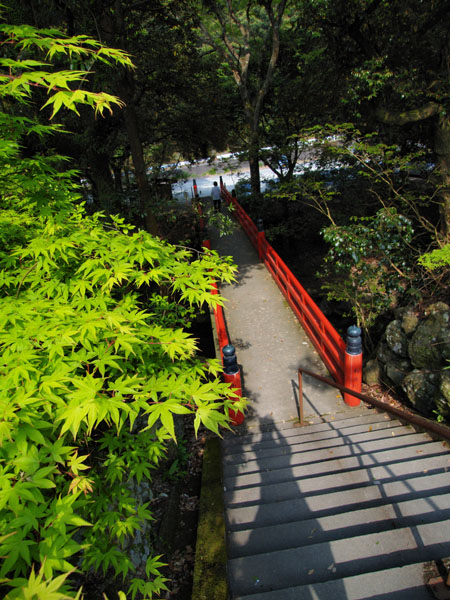 P5055679_.jpg