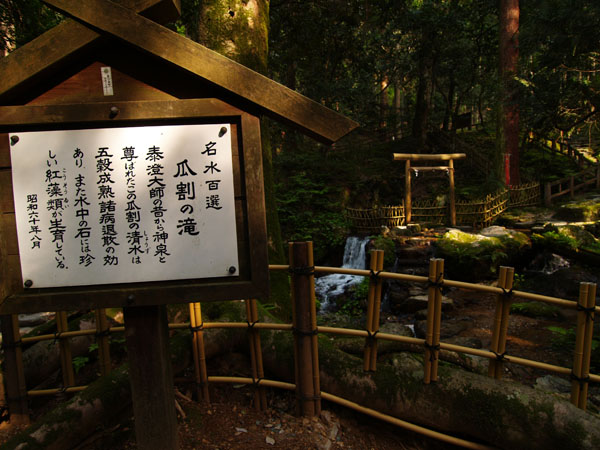 P5055682.jpg