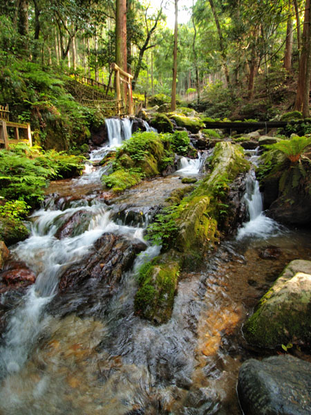 P5055685_.jpg