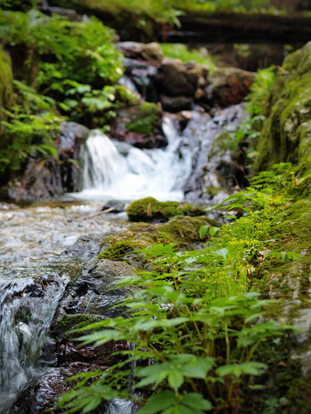 P5055691_.jpg