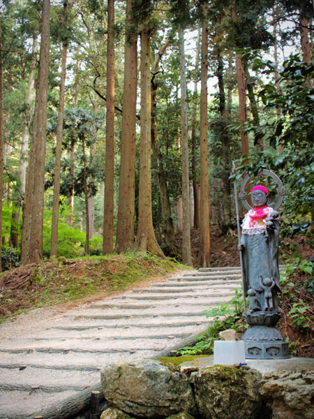 P5055715_.jpg