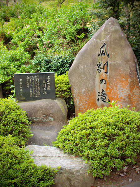 P5055717_.jpg