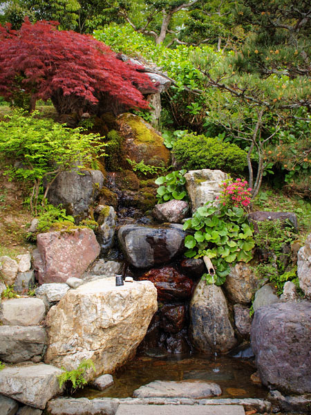 P5055719_.jpg