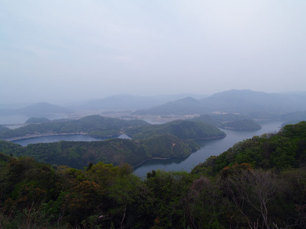P5055764_.jpg