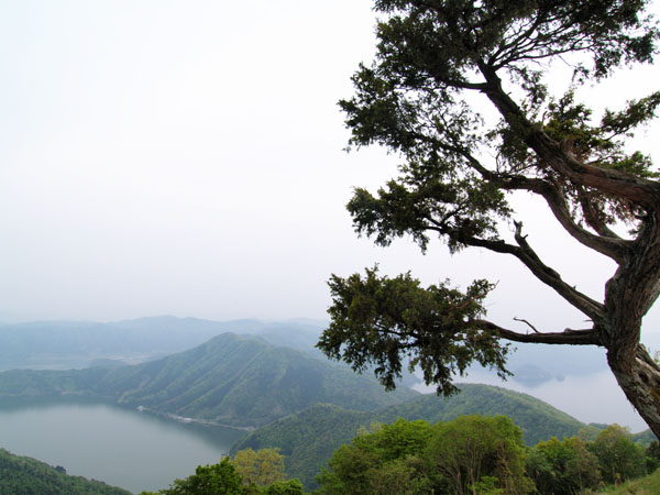 P5055784_.jpg