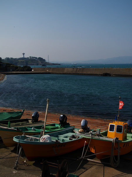 P5065938_.jpg