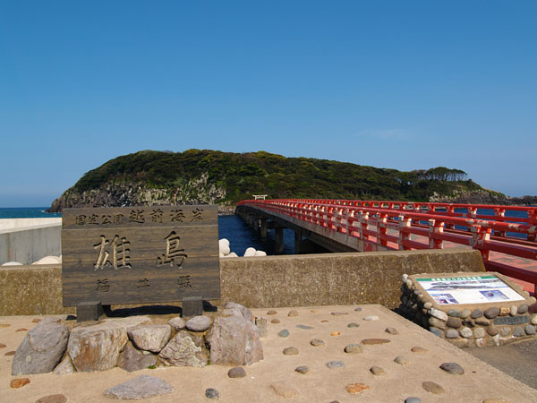 P5065952_.jpg