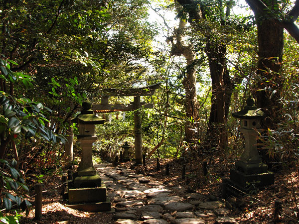 P5065970_.jpg