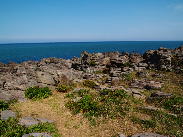 P5065980_.jpg