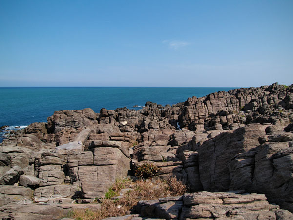 P5065987_.jpg