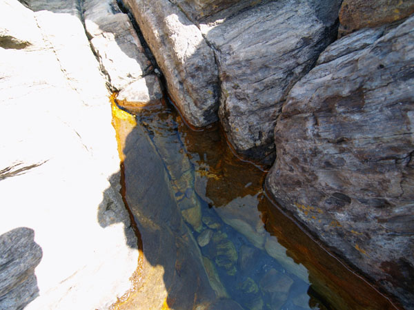 P5065994_.jpg