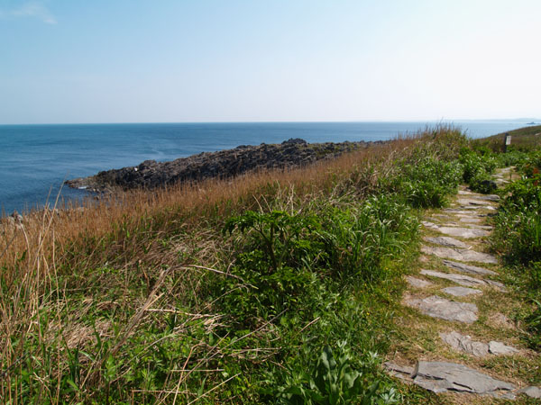 P5065998_.jpg