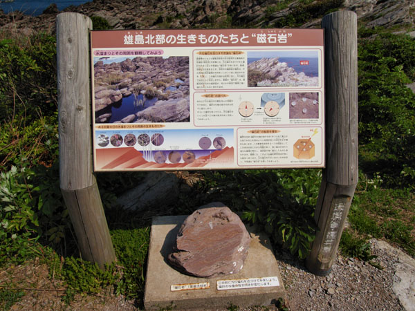 P5066018_.jpg