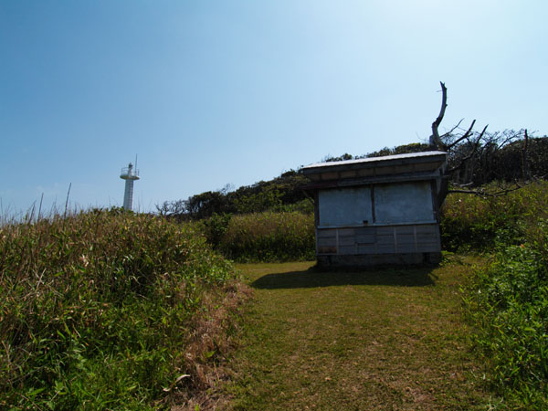 P5066026_.jpg