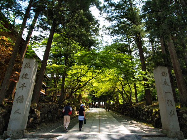P5066035_.jpg