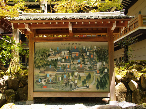 P5066038_.jpg