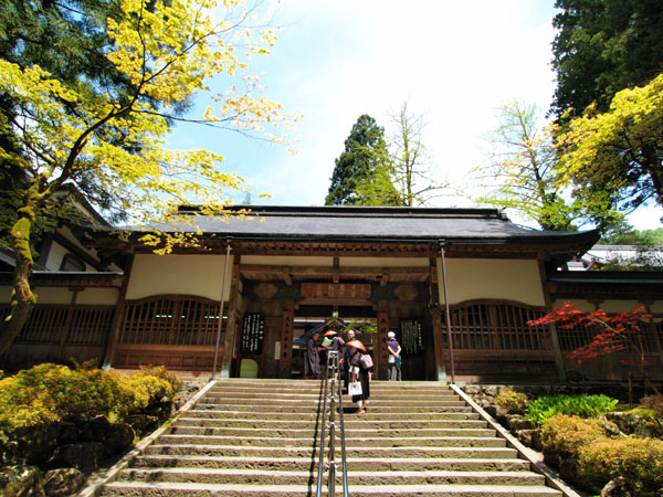 P5066041_.jpg