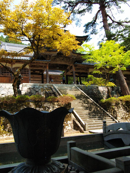 P5066069.jpg