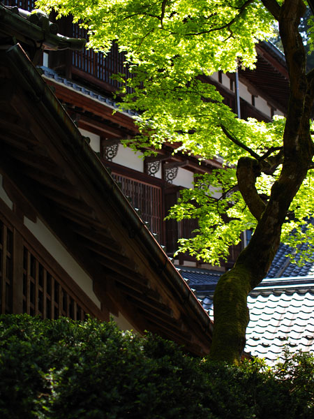 P5066097_.jpg