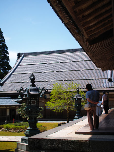 P5066099_.jpg