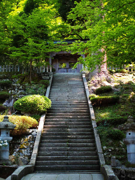 P5066113_.jpg