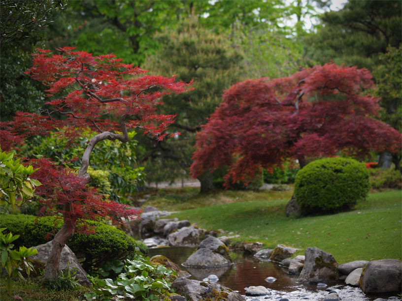P5066166_.jpg