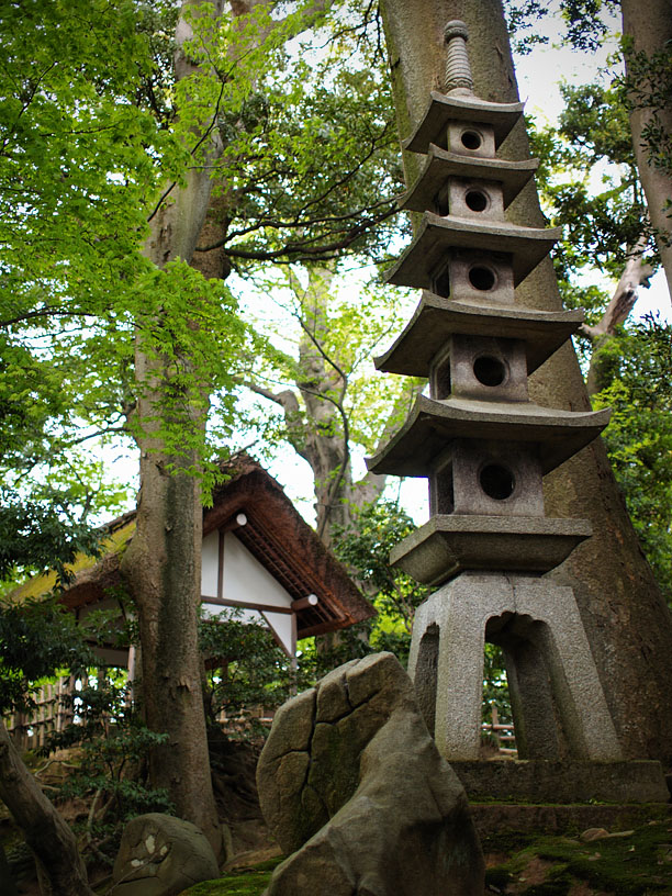 P5066188_.jpg