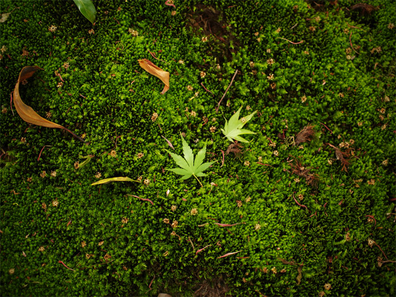 P5066191_.jpg