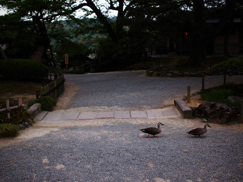 P5066219_.jpg