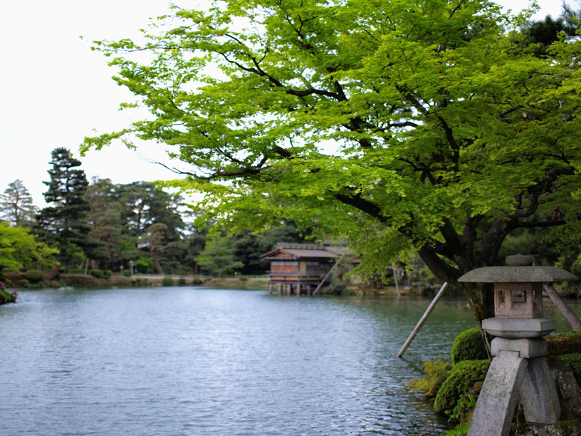 P5066237_.jpg