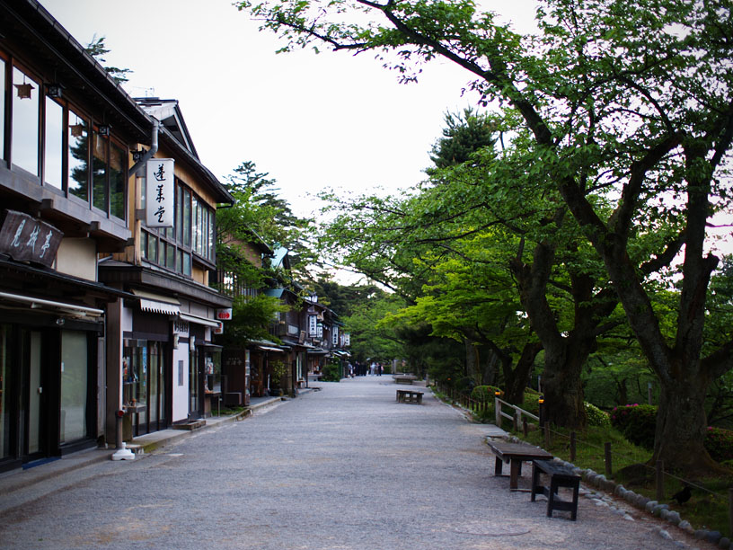 P5066245_.jpg