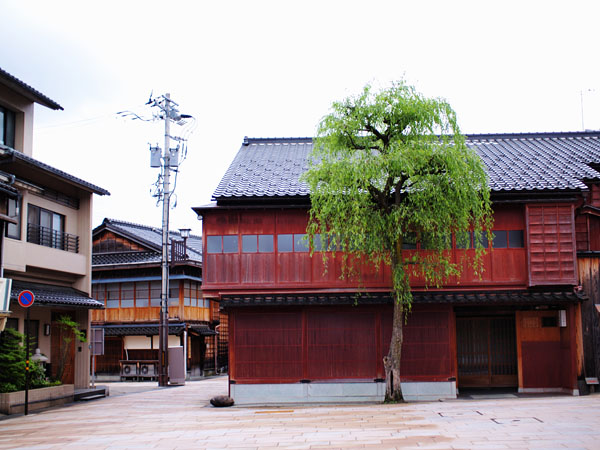 P5076253_.jpg