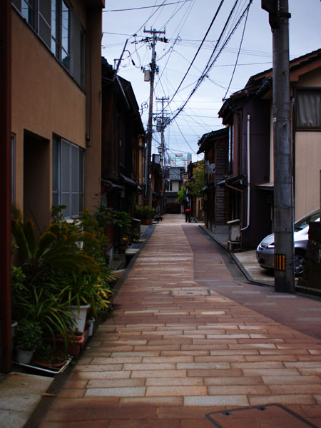 P5076270_.jpg