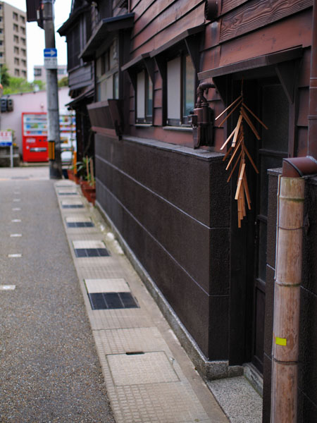 P5076280_.jpg