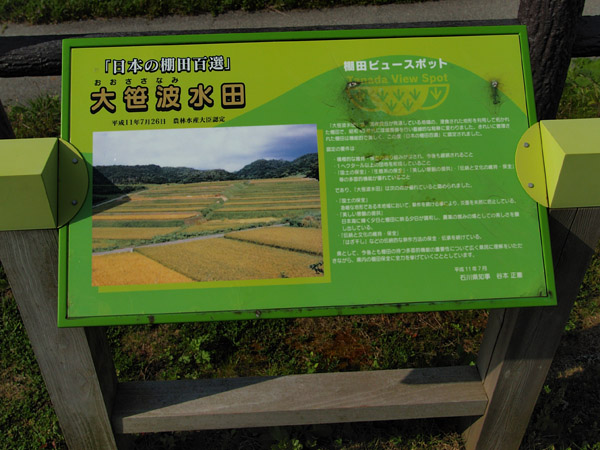 P5076336_.jpg