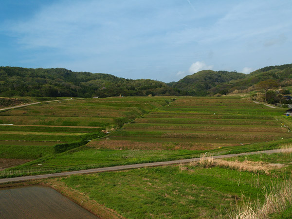P5076338_.jpg
