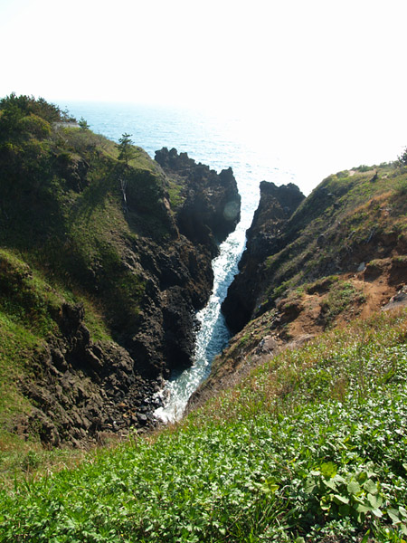 P5076360_.jpg