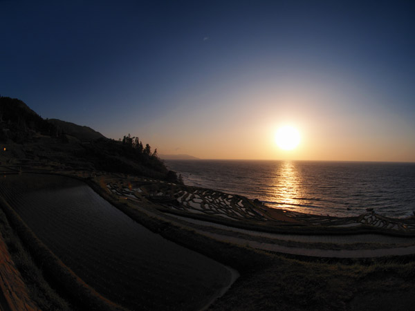 P5076458_.jpg